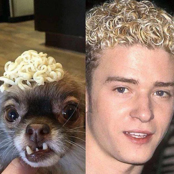 Picdump 184 - #11 