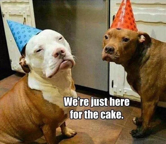 Picdump 184 - #20 