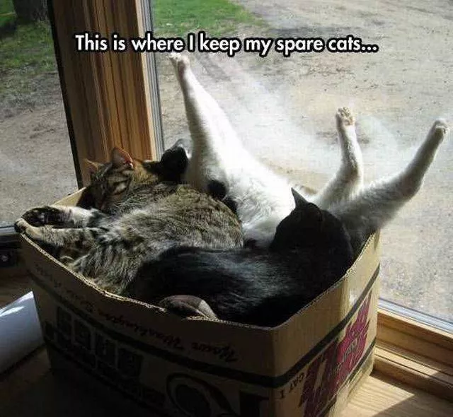 Picdump 184 - #44 