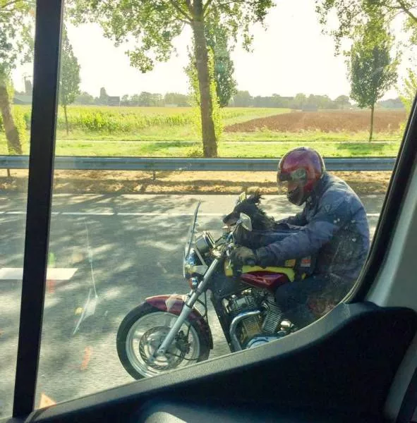 Picdump 185 - #10 