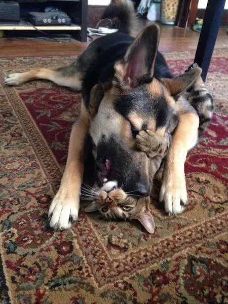 Picdump 185 - #19 