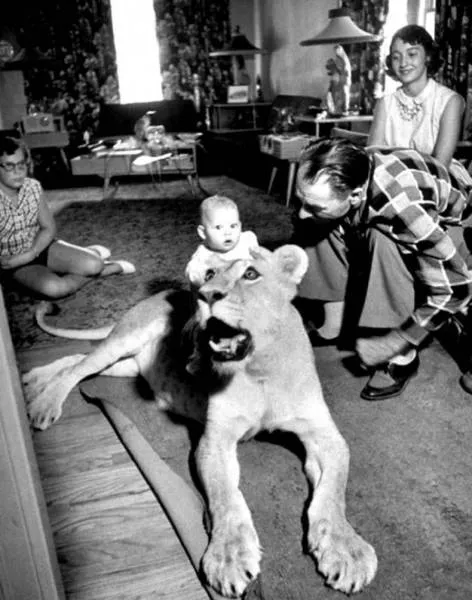 Picdump 185 - #27 