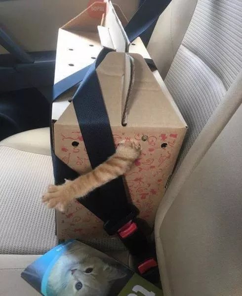 Picdump 186 - #25 