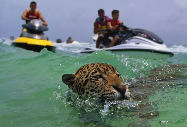 Picdump 187 - #1 