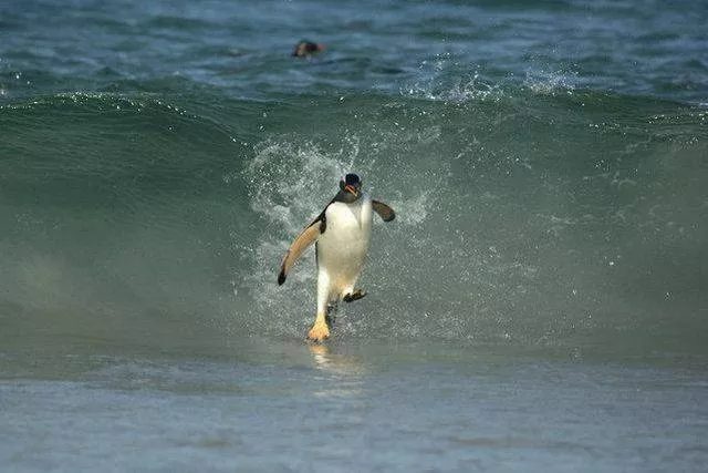 Picdump 187 - #25 