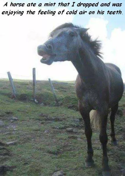 Picdump 187 - #29 