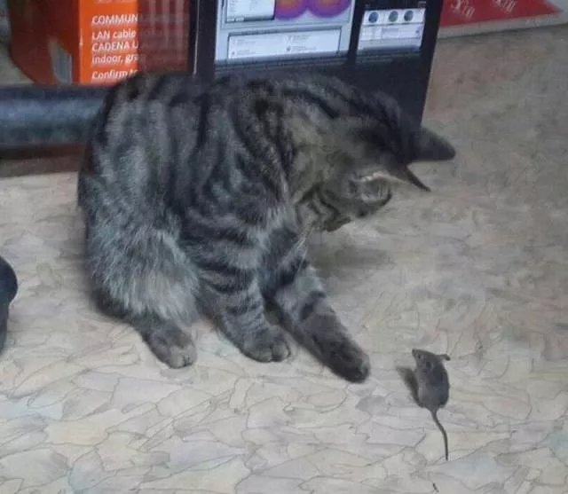 Picdump 187 - #7 