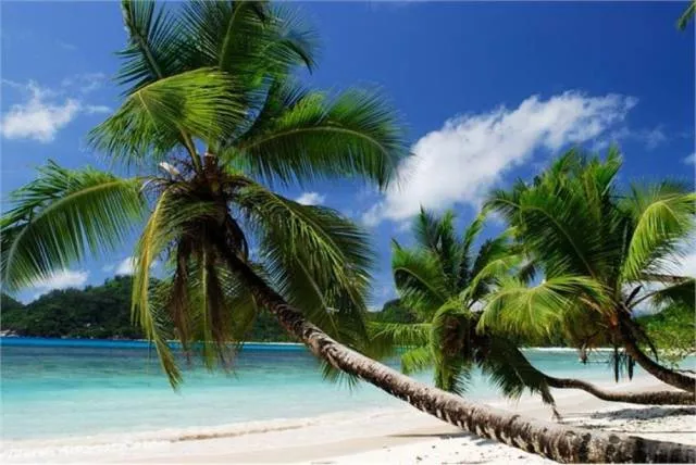 Seychelles - #5 Seychelles - #5
