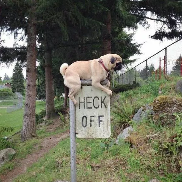 Picdump 188 - #37 