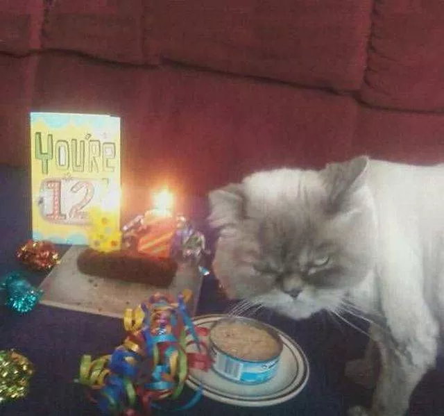 Picdump 188 - #46 
