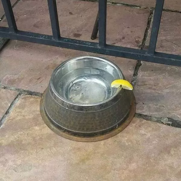 Picdump 188 - #49 