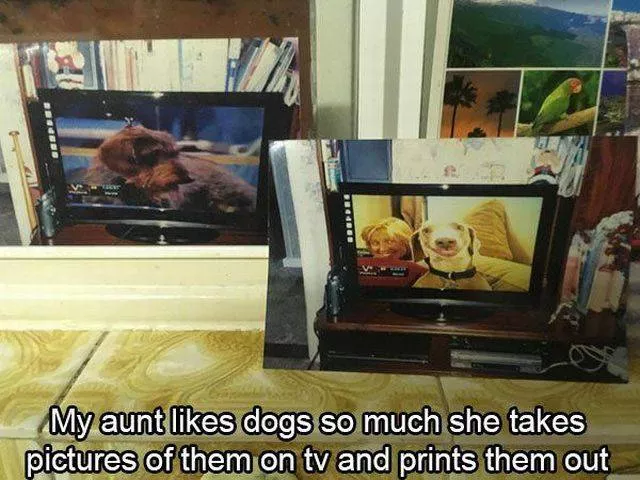 Picdump 188 - #50 