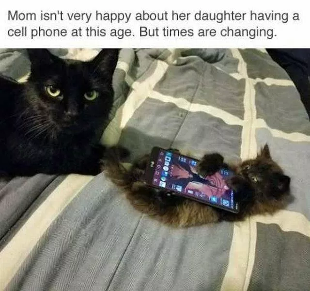 Picdump 188 - #8 