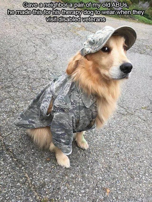 Picdump 189 - #11 