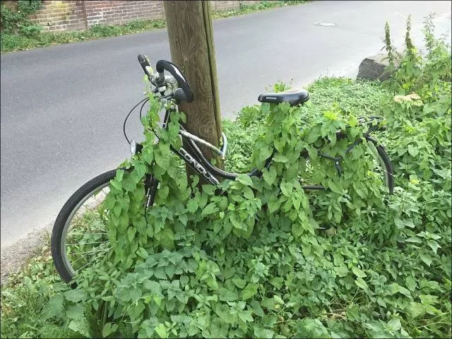 Picdump 189 - #12 