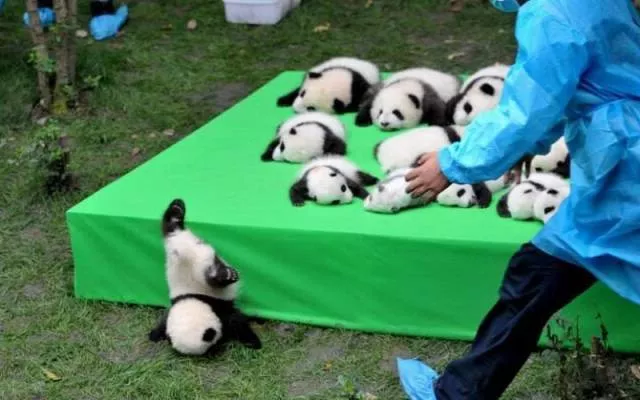 Picdump 189 - #15 