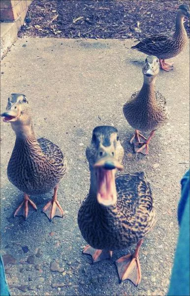 Picdump 189 - #19 