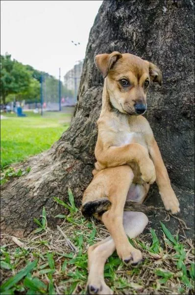 Picdump 189 - #27 