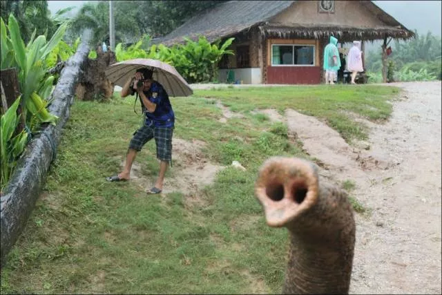 Picdump 189 - #3 