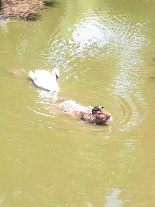 Picdump 189 - #4 