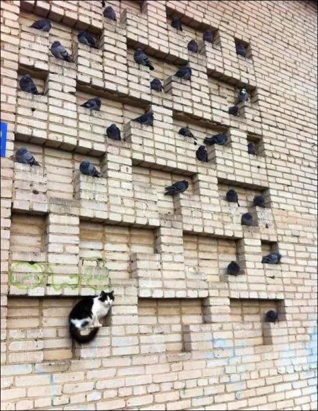 Picdump 189 - #44 