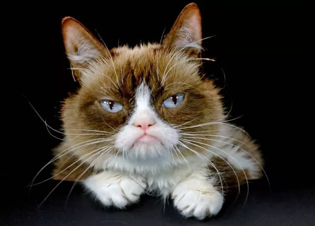 Picdump 189 - #46 