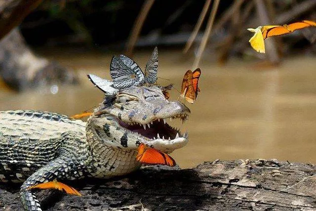 Picdump 189 - #59 