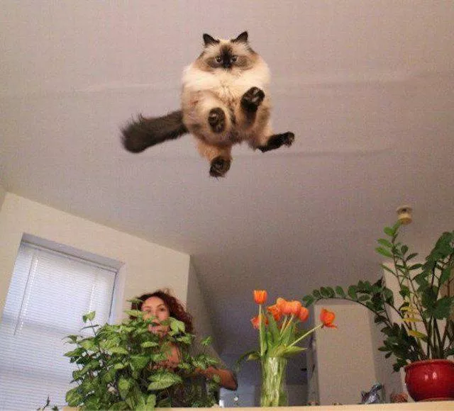 Picdump 189 - #60 