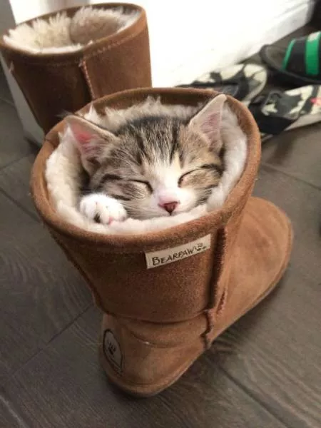 Picdump 189 - #64 