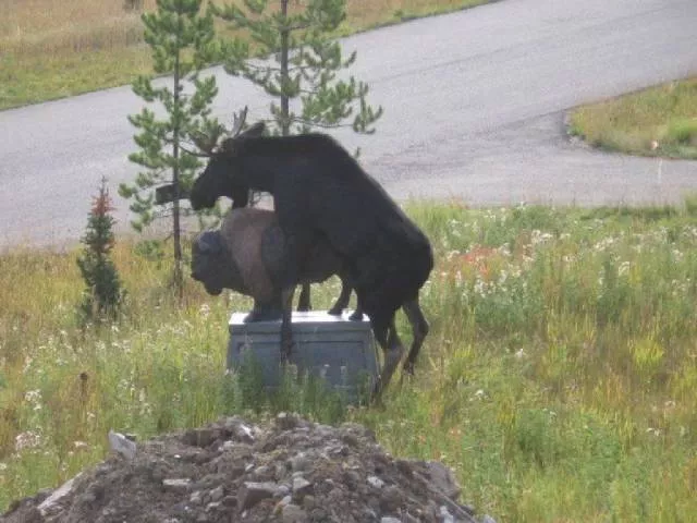 Picdump 190 - #20 