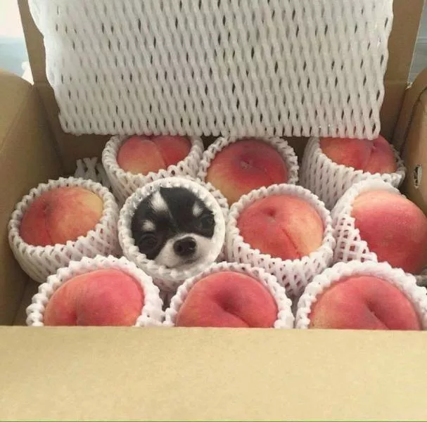 Picdump 190 - #26 