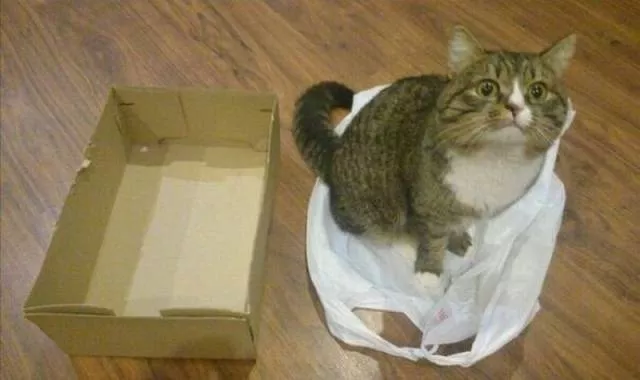 Picdump 191 - #12 