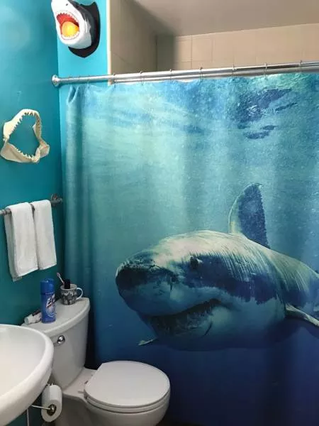 Picdump 191 - #17 