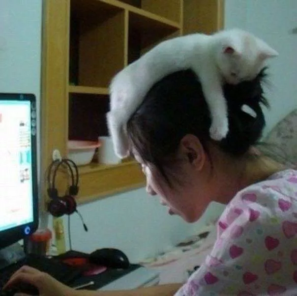 Picdump 191 - #18 