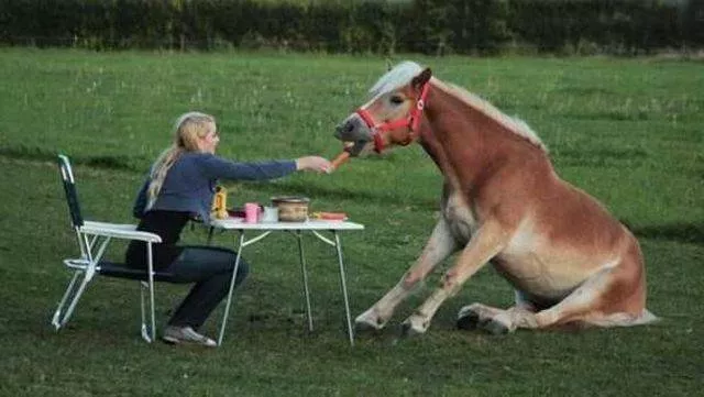Picdump 191 - #32 