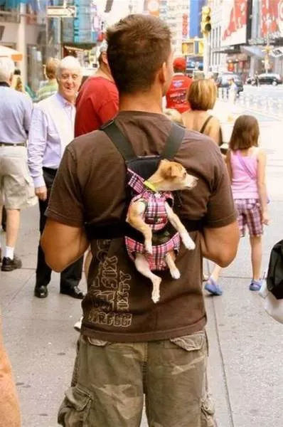 Picdump 191 - #36 