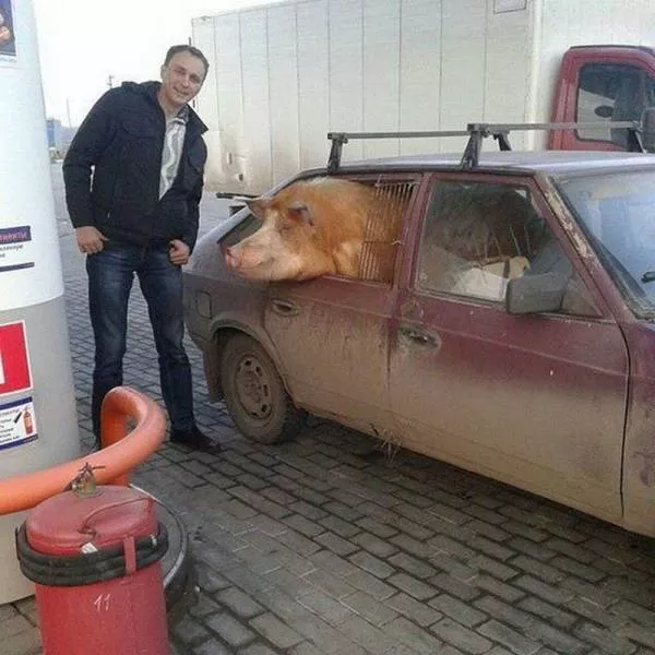 Picdump 191 - #46 