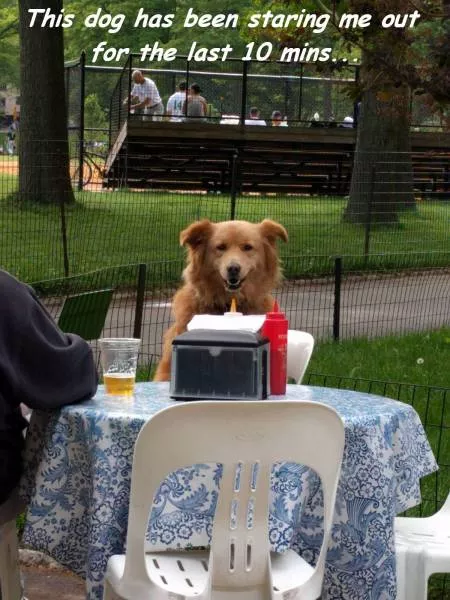 Picdump 192 - #11 