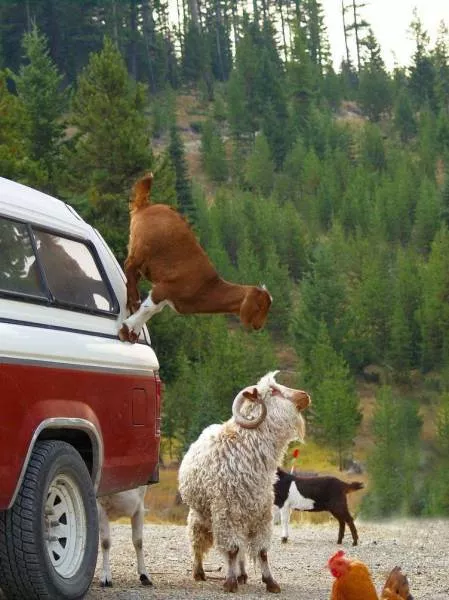 Picdump 192 - #29 