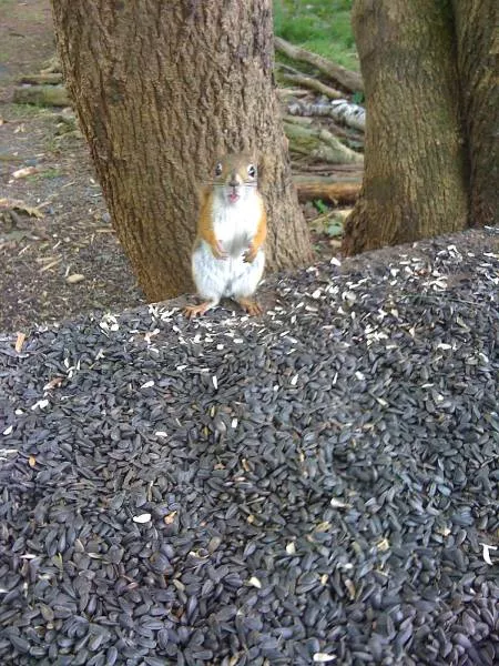 Picdump 192 - #3 