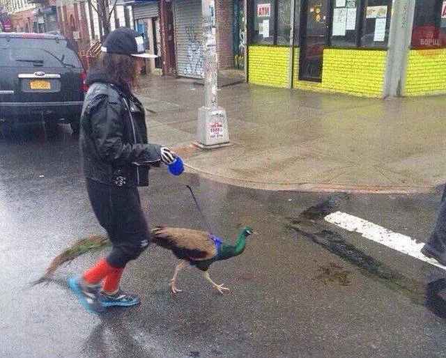 Picdump 192 - #32 