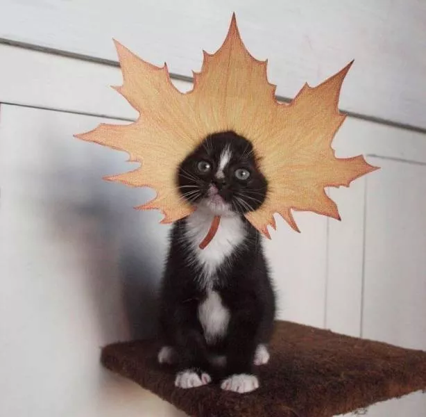Picdump 192 - #34 