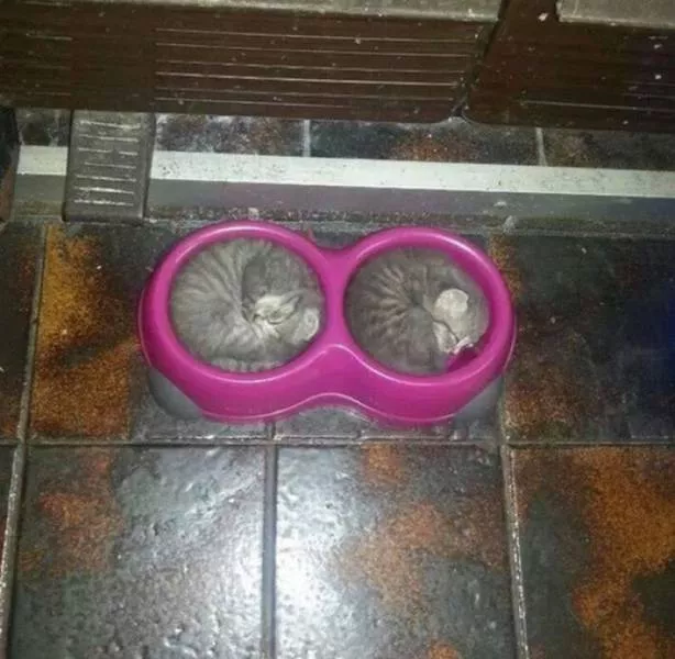 Picdump 192 - #40 