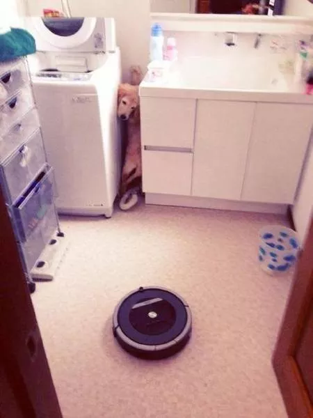 Picdump 192 - #77 
