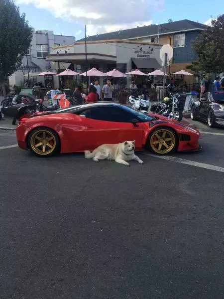 Picdump 192 - #79 
