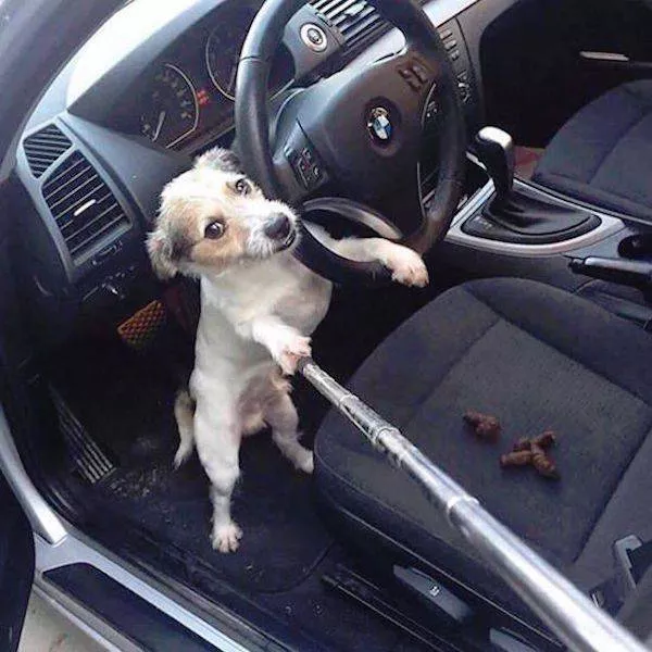 Picdump 192