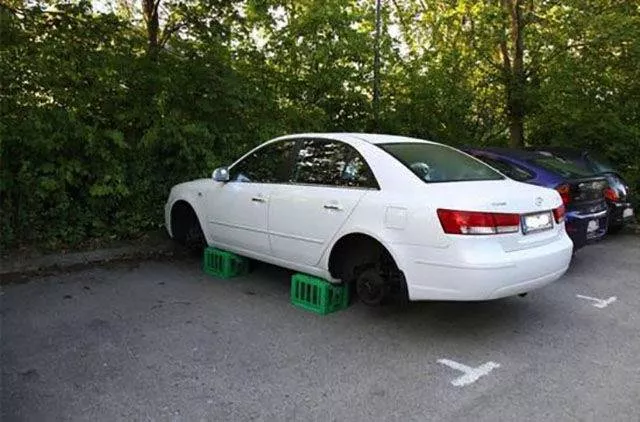 Picdump 36 - #10 