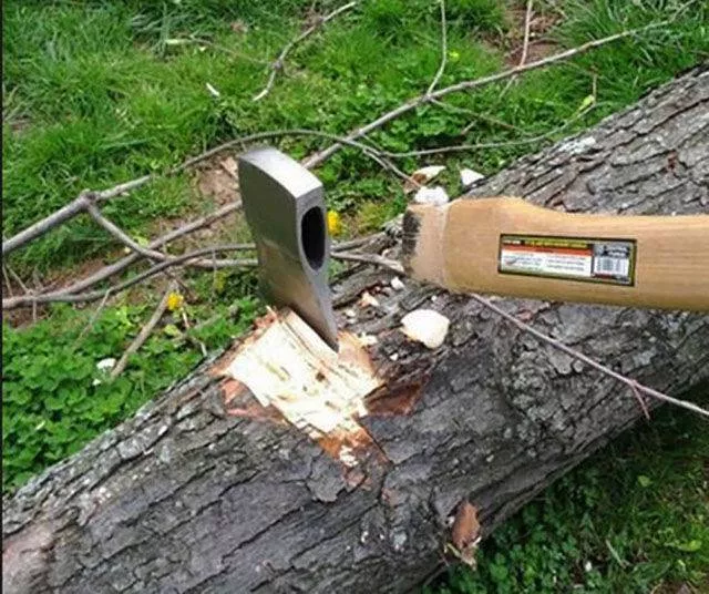 Picdump 36 - #11 