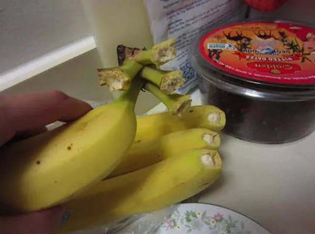 Picdump 36 - #14 