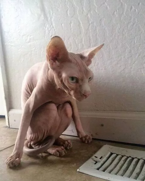 Picdump 36 - #33 